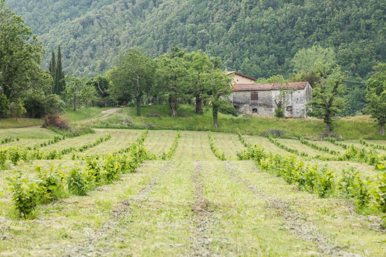 Podere Groppini ฟิวิซซาโน ภายนอก รูปภาพ