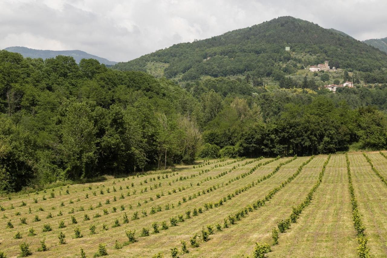 Podere Groppini ฟิวิซซาโน ภายนอก รูปภาพ