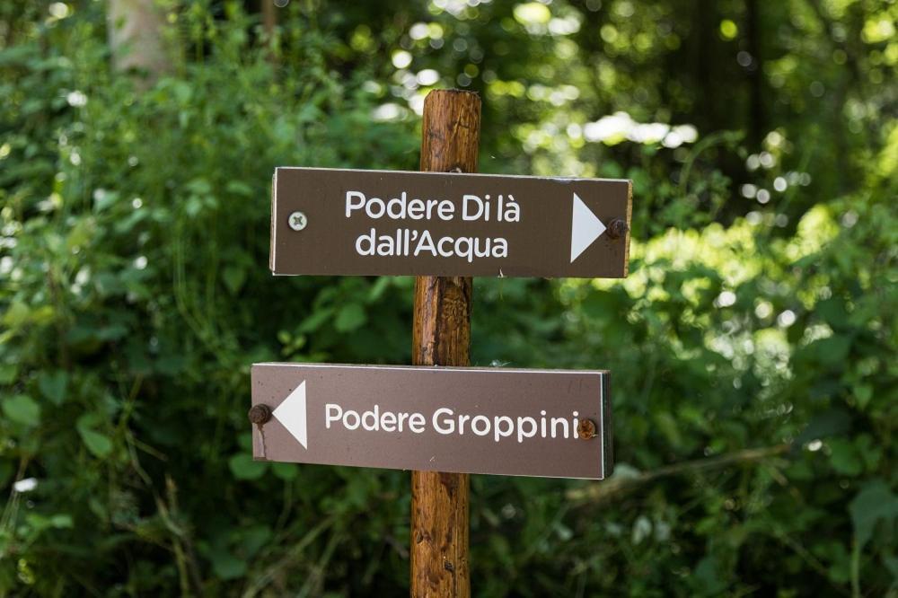 Podere Groppini ฟิวิซซาโน ภายนอก รูปภาพ