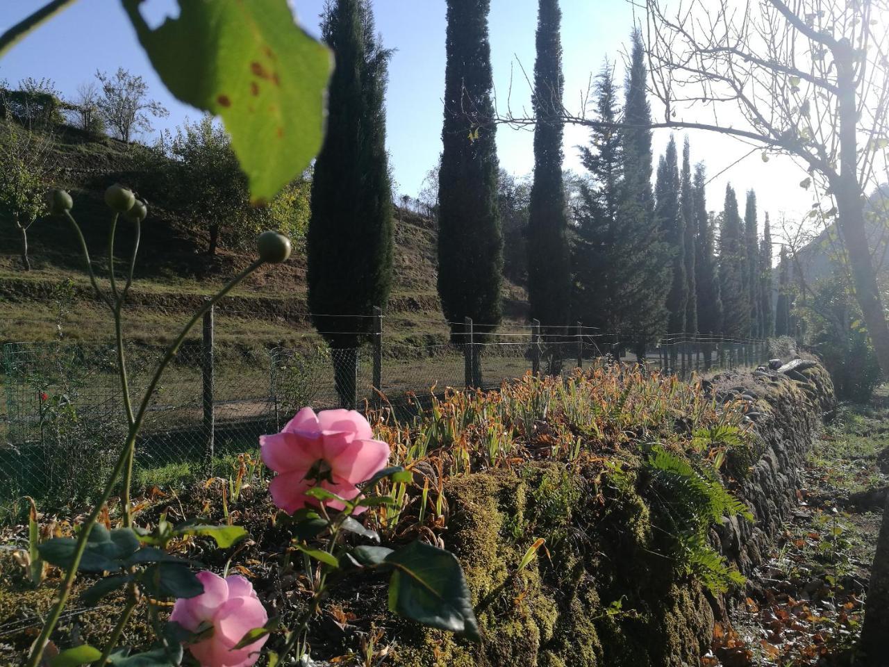 Podere Groppini ฟิวิซซาโน ภายนอก รูปภาพ