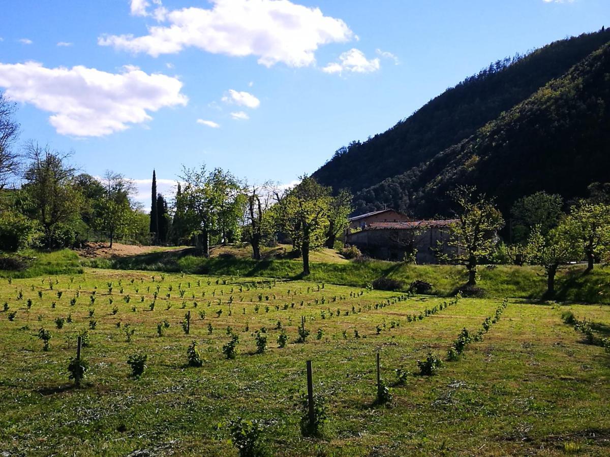 Podere Groppini ฟิวิซซาโน ภายนอก รูปภาพ