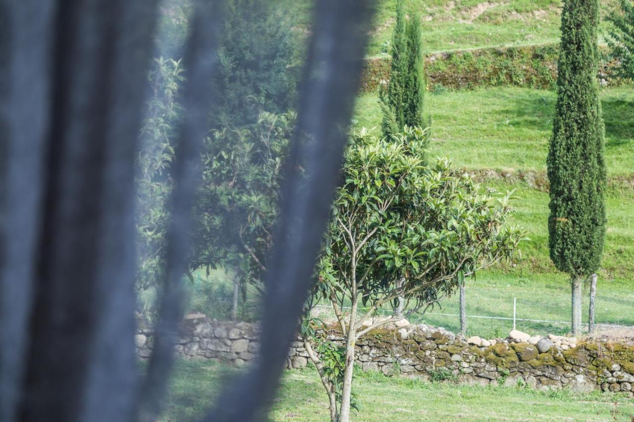 Podere Groppini ฟิวิซซาโน ภายนอก รูปภาพ